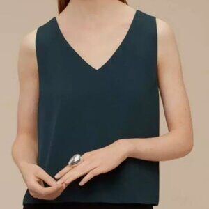 Aritzia Babaton Murphy Blouse